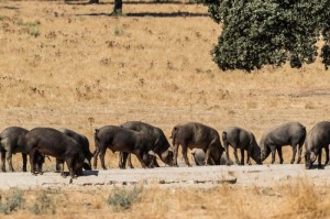 今日重大通报“顺欣茶坊其实真有透视挂”分享真的有挂给你