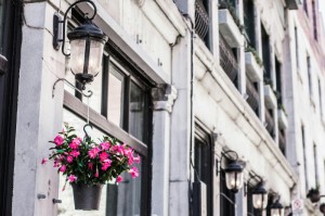 ［最新分享］“闽乐茶楼怎么装挂”［果然有透视挂］