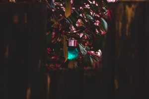 ［最新分享］“新大圣炸/金/花怎么装挂”［透视曝光猫腻］