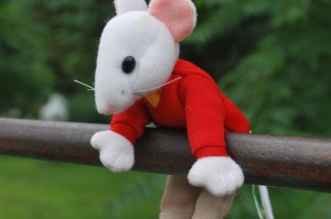 我来教教大家“开心联盟牛牛透视挂下载”(其实有挂)