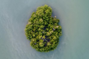 推荐一款“新毛豆大厅开挂透视软件”(真的有挂)