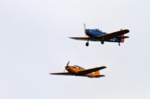 重大通报.“飞鹰金花能不能开挂”其实真的能开挂