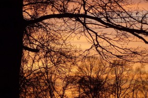 [推荐]“渔舟唱晚真的有挂吗”(原来确实是有挂)