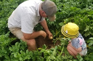经验总结.“农场假日要怎么开挂”(确实是有挂)