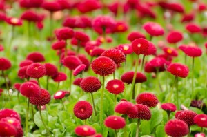 [分析]“花花生活圈有没有挂”原来可以开挂