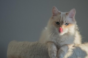 [推荐]“熊猫互娱有没有挂”(原来确实是有挂)