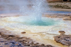 【疫情是哪年爆发的?疫情是哪年爆发的新冠病毒】