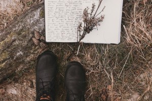 终于知道“新云游有没有挂”的确有人用挂