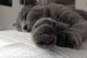 攻略推荐“心悦吉林麻将有挂没有吗”其实真的能开挂