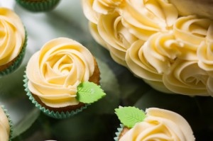 全球疫情最新动态，变异株传播与防控策略调整