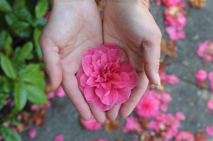 2020年疫情是什么病毒感染/2020年疫情是什么病毒感染的