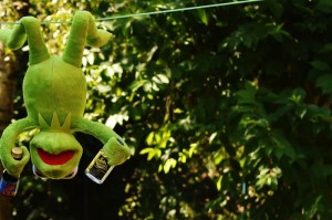 知道“鲨鱼互动可以开挂吗？”(原来有挂)