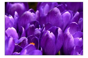 [推荐]“君临天下有挂吗”有挂详细开挂教程