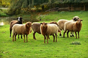 重大通报.“欢乐贰柒拾能开挂吗,要如何操作开挂辅助”爆光开挂猫腻详情