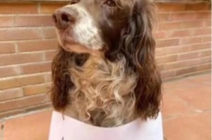 我国疫情什么时候开始封城的（疫情从什么时候开始封城的）