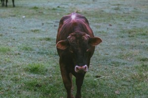 最新疫情情况郑州/最新疫情情况郑州最新消息