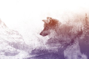 我来教教大家“新猴王拼三张其实有辅助器”(确实是有挂)-知乎