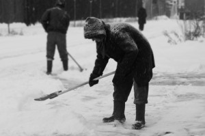 疫情是多少年爆发的/疫情是多少年爆发的呢