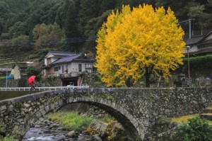 [推荐]“桃花庄有挂吗”(确实真的有挂)