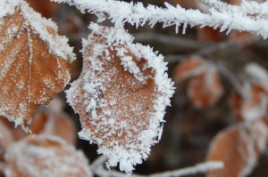【贵州疫情最新情况实时动态数据/贵州疫情最新情况实时动态数据图】