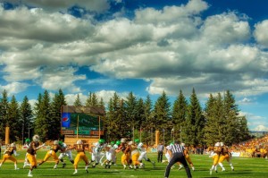 [分享]“青松游戏有没有挂”(确实真的有挂)