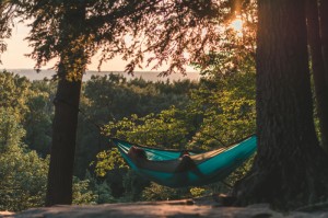 [分享]“森林争霸可以开挂吗”有挂详细开挂教程