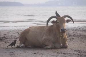 [分享]“挖坑青海麻将可以开挂吗”原来可以开挂