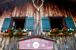 [推荐]“山西大唐麻将怎么开挂”原来可以开挂