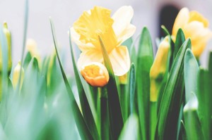 重大通报.“同城乐吧510k确实有挂吗”爆光开挂猫腻详情