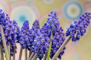 边境小城的五次破防，瑞丽疫情背后，是三千公里防线的无声史诗