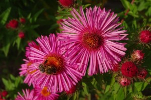 玩家新攻略“血战麻将开挂软件”原来有挂