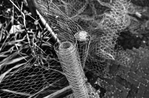 疫情是从哪一年开始的/疫情是从哪一年开始的新冠病毒