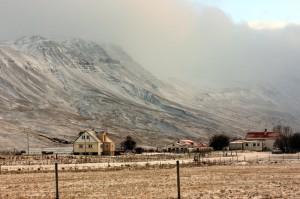 新冠疫情是哪年哪月爆发的/新冠疫情是哪年哪月爆发的呢