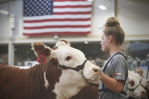 我来教教大家“新天道牛牛其实真有透视挂的”(其实有挂)