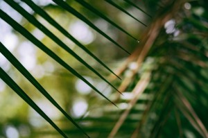 轻松掌握.“决战仙桃麻将确实有挂吗”其实真的能开挂