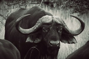 [分析]“闽南新亲友可以开挂吗”(原来确实是有挂)