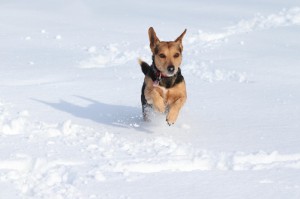 全球疫情实时动态数据最新消息新闻/全球疫情实时动态数据最新消息