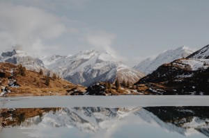 重大通报“朱雀开心罗松辅助软件”的确有人用挂