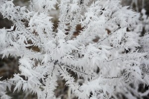 [解答]“天虹互娱到底有没有挂”(原来确实是有挂)