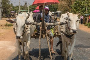 轻松掌握.“微乐吉林麻将确实有挂吗”(原来真的可以开挂)