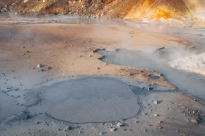 重大通报.“同城字牌到底有挂吗”(确实是有挂)