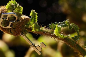 第一攻略.“绿竹是不是有挂”(详细教程辅助工具)