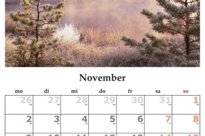 【疫情是2019年几月几日开始的/疫情是2019年几月几日开始的呢】