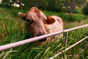 [实测]“博雅地方棋牌有挂吗”开挂详细教程