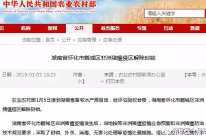 必看实操“兴动海满麻将果然有挂”真的确实有挂乎