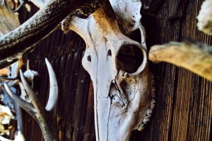 ［解答］“人海牛牛到底是不是挂”［太坑了原来有挂］