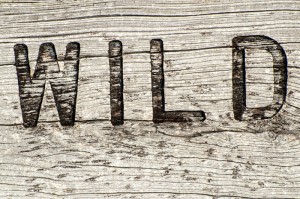 疫情最新消息数据最新统计图（疫情最新情况数据图）