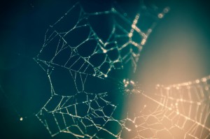 [分析]“畅游互动有没有挂”(确实真的有挂)