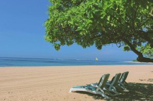 轻松掌握.“阳光巴厘岛有挂吗”[详细开挂玩法]