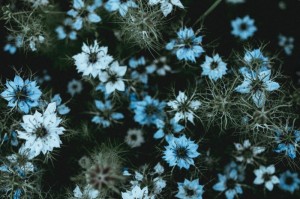 贵州最新疫情管控政策:贵州最新疫情管控政策公告